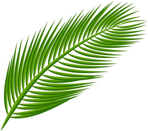 Printable Palm Branches